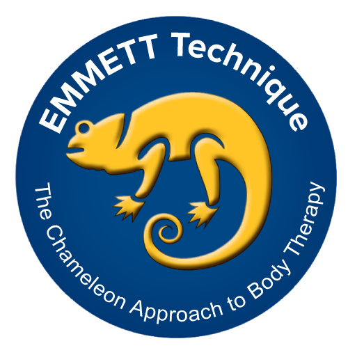 Logo Emmett Techniek